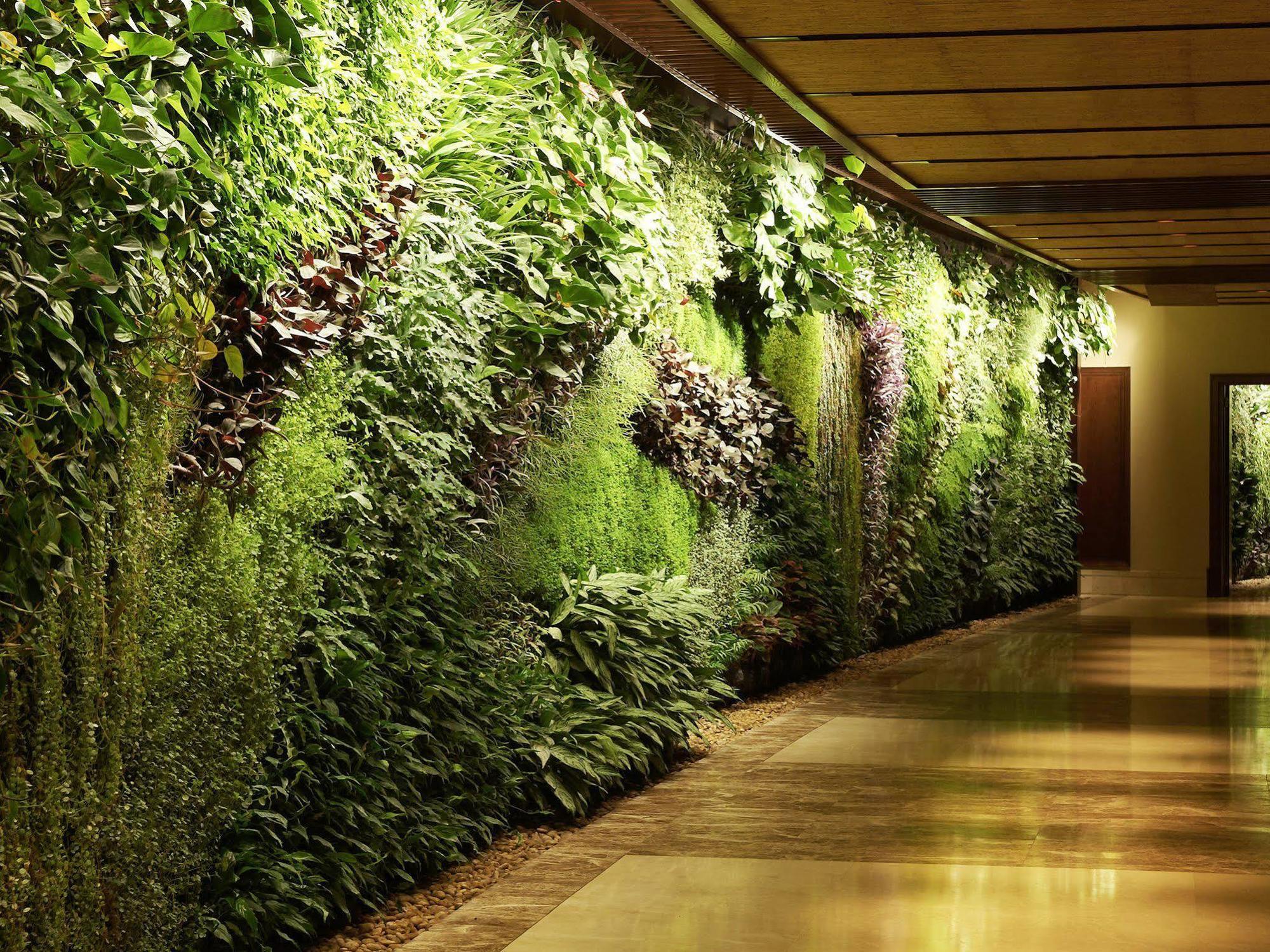 索菲特迪拜棕榈公寓酒店 外观 照片 A living wall at the Wynn Las Vegas